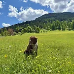 Vordersattlegghof Feriegård *