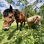 Vordersattlegghof Hüttau