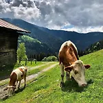 Vordersattlegghof