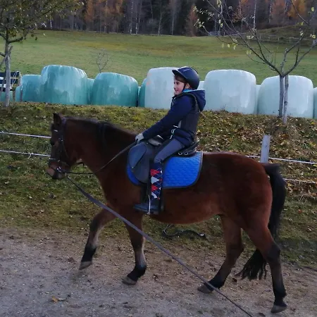 Vordersattlegghof Farma *