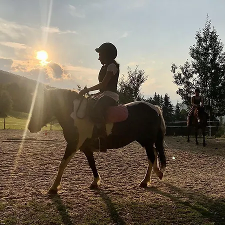 Vordersattlegghof Bauernhof