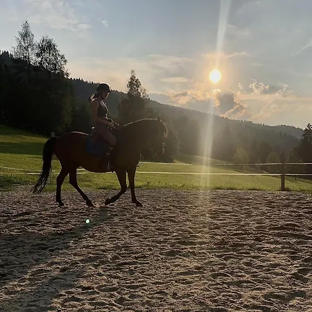 Bauernhof Vordersattlegghof *