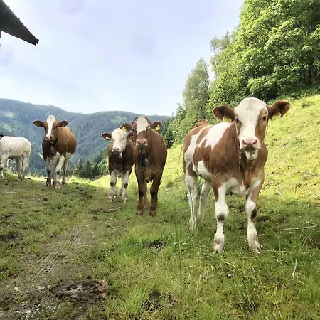 Vordersattlegghof Çiftlik konaklama Hüttau
