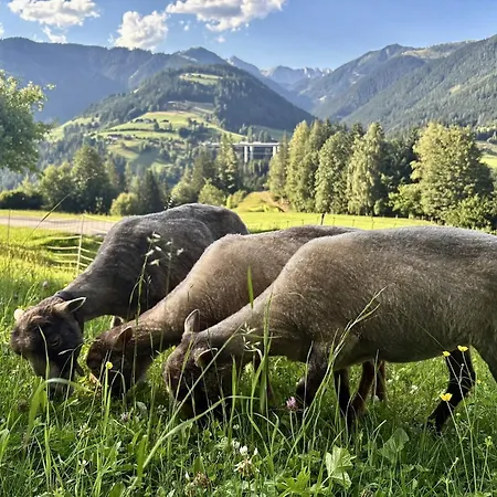 Vordersattlegghof Çiftlik konaklama