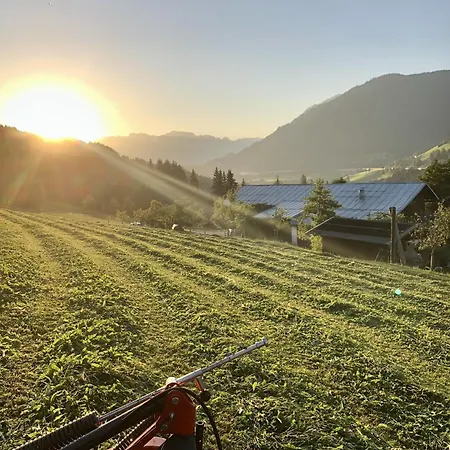Çiftlik konaklama Vordersattlegghof Hüttau