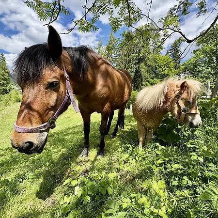 Vordersattlegghof Hüttau