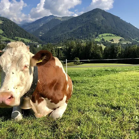 Çiftlik konaklama Vordersattlegghof Hüttau
