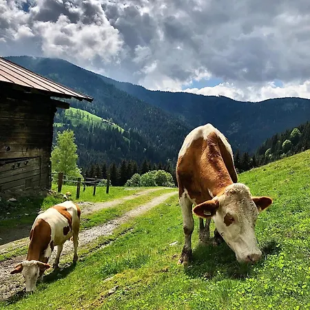 Vordersattlegghof