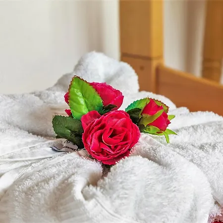 Vordersattlegghof Çiftlik konaklama Hüttau