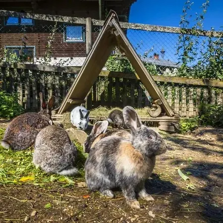 Vordersattlegghof Gospodarstwo agroturystyczne