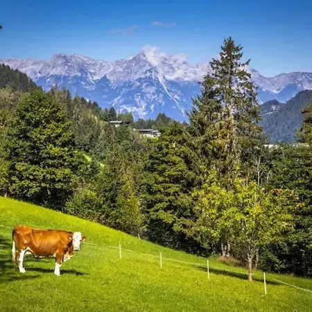 Gospodarstwo agroturystyczne Vordersattlegghof Hüttau