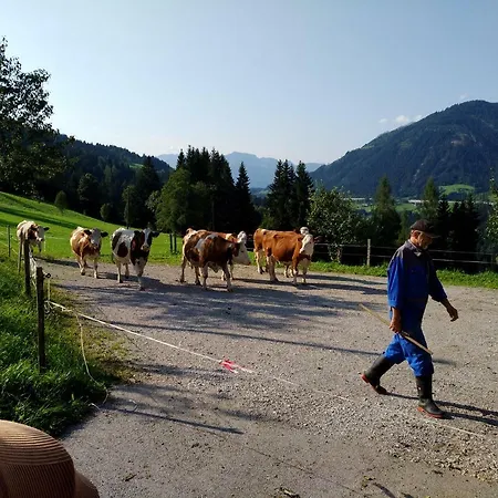 Vordersattlegghof *