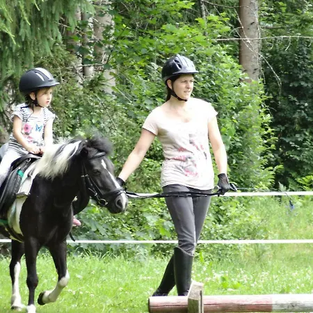 Vordersattlegghof * Hüttau