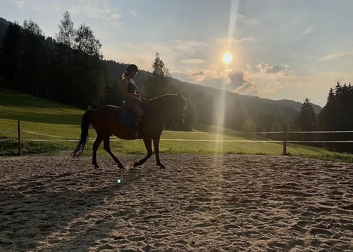 Bauernhof Vordersattlegghof *