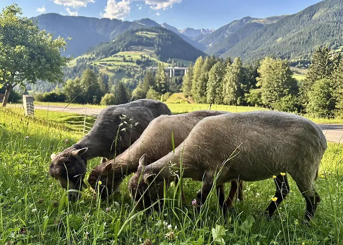 Vordersattlegghof Bauernhof